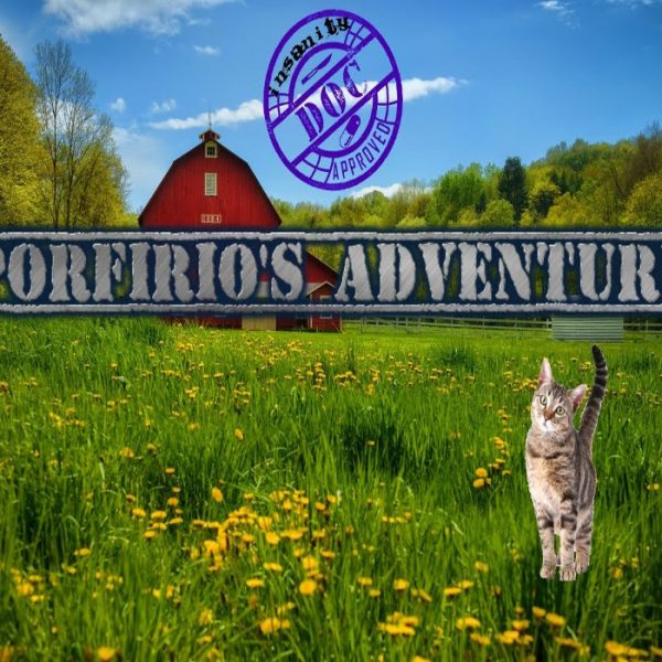 The Cat! Porfirio's Adventure Steam CD Key