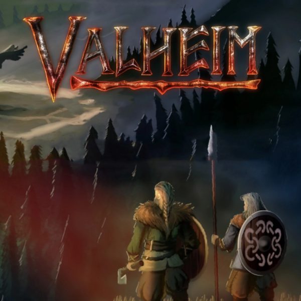 Valheim - Premium Items Pack Manual Delivery