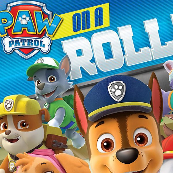 PAW Patrol: On A Roll! Nintendo Switch Account pixelpuffin.net Activation Link